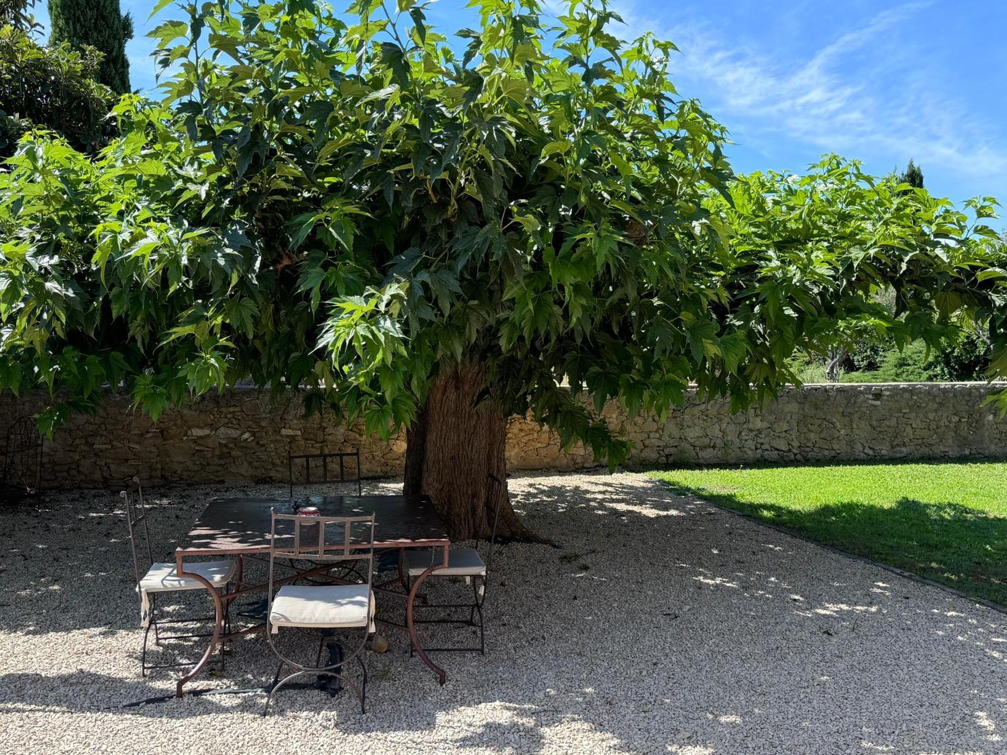 Апартаменты Bastide Du Buou Puyvert Номер фото